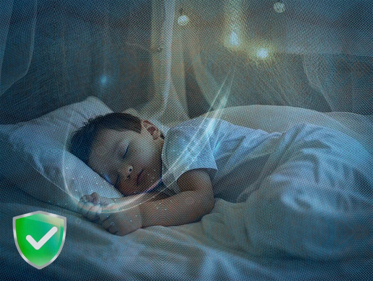 Fabrica BD Mosquito Net
